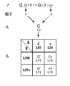 江苏省自学考试《园林植物遗传育种》考试大纲